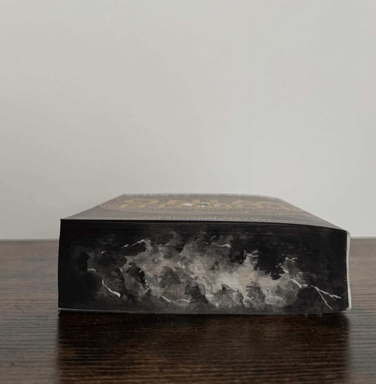 Fourth Wing Hand-Painted Edges Paperback: Violet and Dragons